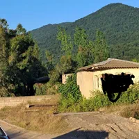 زمین فروشی گرگان روستای توریستی جنگلی جعفراباد|فروش زمین و ملک کلنگی|قرق, |دیوار