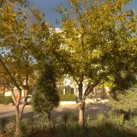 اپارتمان /حاشیه بلوار مهران