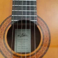 گیتار کلاسیک آریا AK80 دسته آلن‌خور|گیتار، بیس، امپلیفایر|مشهد, یاس|دیوار