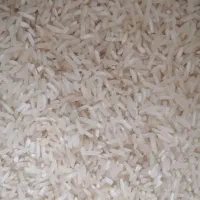 برنج ضیغمی اعلاء (تازه شالیکوبی شده)