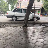 پراید دوگانه