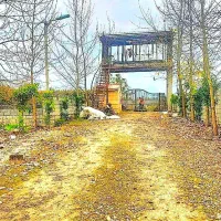 تمامی قطعات مجموعه باسندوجوازساخت/اگهی قیمت کل