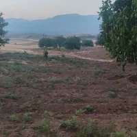 فروش باغ گردو قیمت مناسب|فروش دفتر صنعتی، کشاورزی، تجاری|تویسرکان, |دیوار