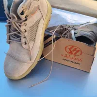 پوتن  کار درجه یک و با کیفیت