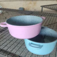 کارگر ساده و  نقاش رنگ پودری