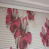 پرده زبرا