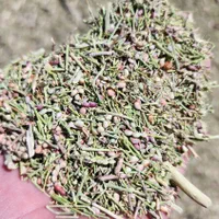 کاه خار داری