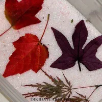 سیلیکاژل پودری مخصوص تهیه گل خشک و تزئینات رزینی|عمده‌فروشی|تهران, نجات اللهی|دیوار