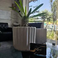 128 متری (فرمانداری) نوساز تجهیز شده