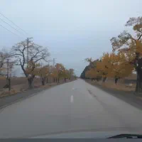 زمین ویلایی|فروش زمین و ملک کلنگی|مشهد, درزآب|دیوار