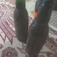 شیره خرما|خوردنی و آشامیدنی|ایرندگان, |دیوار