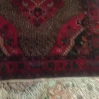 فرش دستباف قدیمی قدمت 50سال ب بالا دوتا|فرش|کرمانشاه, |دیوار