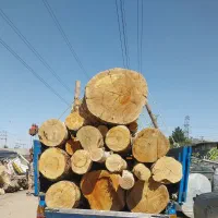 خرید چوب انواع درخت و چوب سقفی