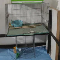 قفس مرغ عشق و قناری و فنچ