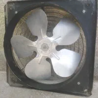 فن کوچک