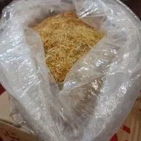 ریشه زعفران درجه یک|گل و گیاه طبیعی|قم, زاویه|دیوار