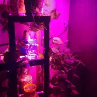 لامپ رشد گیاه ۱۲ وات|لامپ و چراغ|تهران, تهرانویلا|دیوار