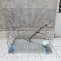 قفس بزرگ برای نگهداری پرنده و جوجه کشی