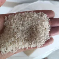برنج فجر درجه‌ 1 امساله
