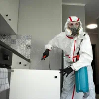 سمپاشی(موریانه زدایی)سم پاشی/ساس سوسک عقرب مار