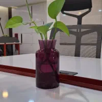 رهن واجاره اپارتمان / 110متری / بلوارطلاییه