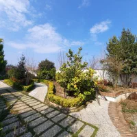 سمپاشی چمن زنی ،محوطه سازی،باغبانی هرس درختان و..|خدمات باغبانی و درختکاری|لنگرود, |دیوار