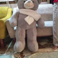 یک خرس پشمالو زیبا|کلکسیون و سرگرمی|زاهدان, |دیوار