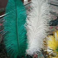 پر علامت آفریقایی|کلکسیون اشیاء عتیقه|تهران, امام حسین|دیوار