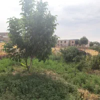 زمین-کشاورزی-و-احتمال-مسکونی-شدن