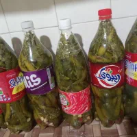 خیار شور تازه