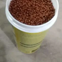 غذای ماهی خشک