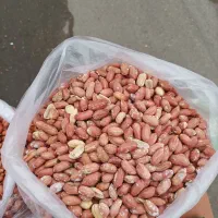 بادام زمینی درجه یک اعلا