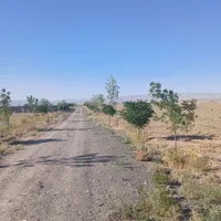 فروش خانه ویلایی ۵۱۹ متری در نوچاه فردوسی|فروش خانه و ویلا|مشهد, نوچاه|دیوار