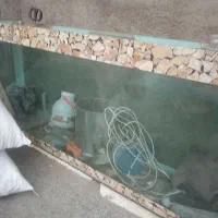 اکواریوم|ماهی|نیشابور, ده حلاج|دیوار