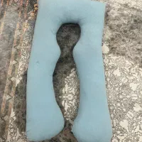 باشت بارداری دی روحه