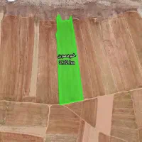 زمین کشاورزی