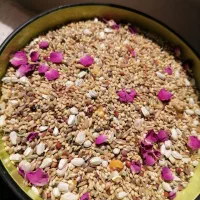 دان پرنده عروس . گیرینچیک . طوطی برزیلی