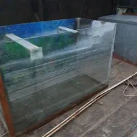 آکواریوم سالم فقط شستشو نشده درعکس