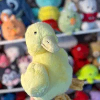 کودک|اسباب‌بازی بچه|شیروان (خراسان), |دیوار