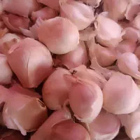 سیر بذری همدان