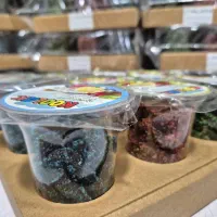 ترایفل لیوانی