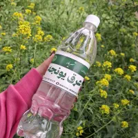 عرضه و تولید عرقیجات گیاهی شهریار