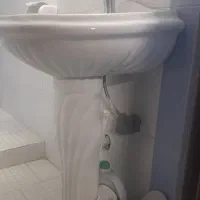 دست شور سالم