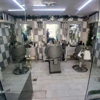 دو عدد گل پتوس