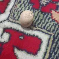 مهره کلکسیونی