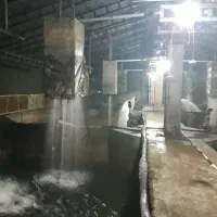 سرایدار پرورش ماهی