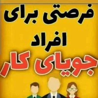 حرفه ای باش بانوی خانه دار و استقلال داشته باش