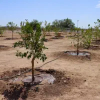 تاسیسات ساختمان و آبیاری قطره‌ای کشاورزی|خدمات پیشه و مهارت|بافت, |دیوار