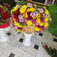 پاک کردن مرغ