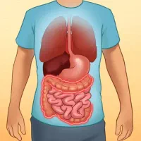 درآمد از طریق ساخت کرم های دست ساز وبالم لب
